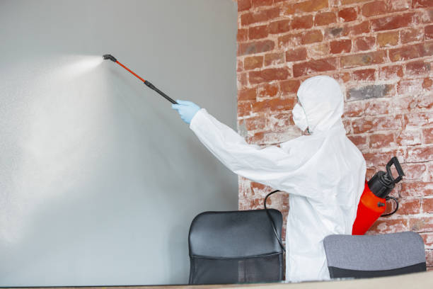 Best Biohazard Mold Removal  in Lexington, OH