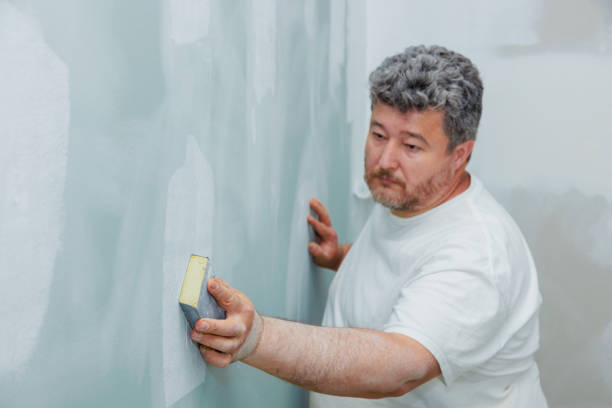 Best Mold Damage Restoration  in Lexington, OH