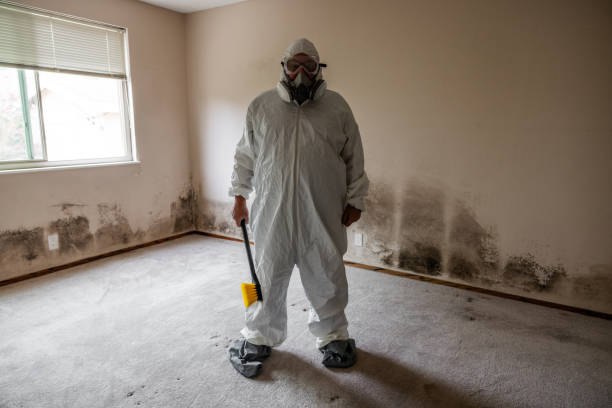 Mold Remediation for Vacation Homes in Lexington, OH