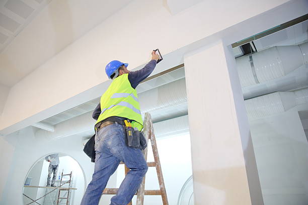 Best Basement Mold Removal  in Lexington, OH