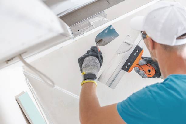 Best Emergency Mold Remediation  in Lexington, OH